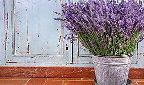 Bouquet of lavender in a rustic decorative setting