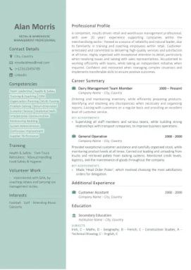 Professional CV/Resume writing service example - Standard Example 2