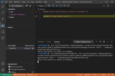 VS Code debug view