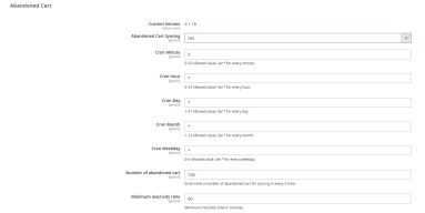 Abandoned cart sync configuration settings