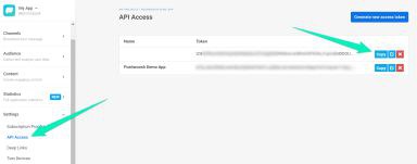 API Access section in Pushwoosh settings