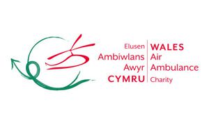 Logo Banner