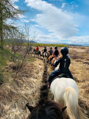A series of tourists ride horses down Iceland's wilderness 