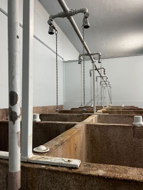 Paris-Roubaix showers