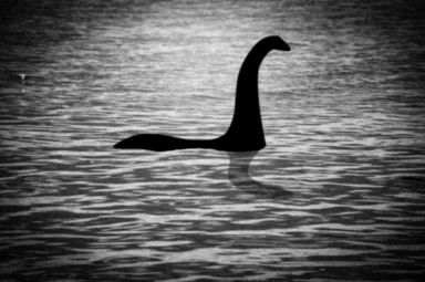 Has the Loch Ness monster had babies?