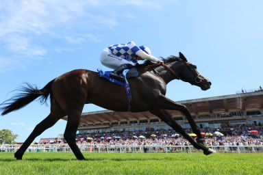 0_NEW-Sandown-image.jpg
