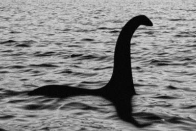 Nessie will be hunted soon