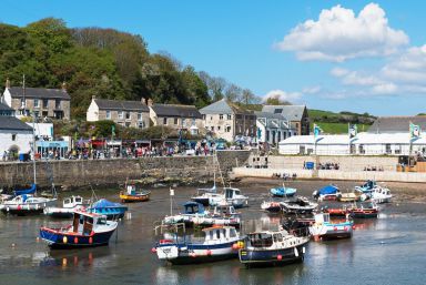 The bird was attacked in front of horrified families at the Harbour View Cafe in Porthleven, Cornwall (Stock image)