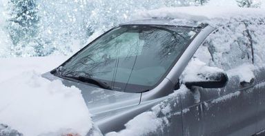 Beeway Car Windshield Cover