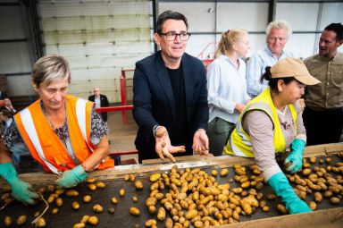 UK issued chilling WW3 warning as Andy Burnham checks potatoes during 'listening' tour