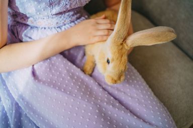 Girl in purple dress holding a cute lop-eared rabbit