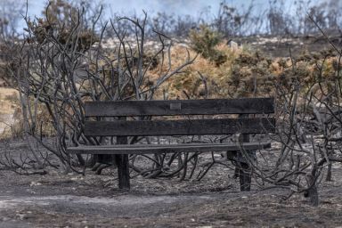 A bench remains amid the barren landscape