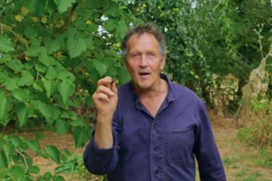 Monty Don issued a heatwave update for anyone with a fruit tree in their garden