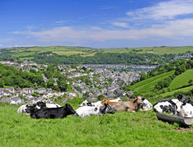 SX8751 : View of Dartmouth from Yorke Road (A379) by Peter Tarleton