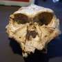 Rethinking how we name and classify our human ancestors following recent evolutionary discoveries
