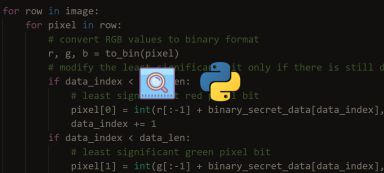 Steganography: How to Hide Data in Images in Python
