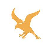 Falcon