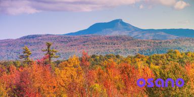 Inside the VDPOSA: Vermonts Unique Take on Data Privacy